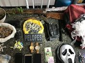Drogas e armas são apreendidas em operação contra o tráfico no Sertão de Alagoas

