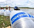 Prefeitura e Codevasf realizam a entrega de 22 mil alevinos aos produtores rurais de Arapiraca