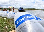 Prefeitura e Codevasf realizam a entrega de 22 mil alevinos aos produtores rurais de Arapiraca