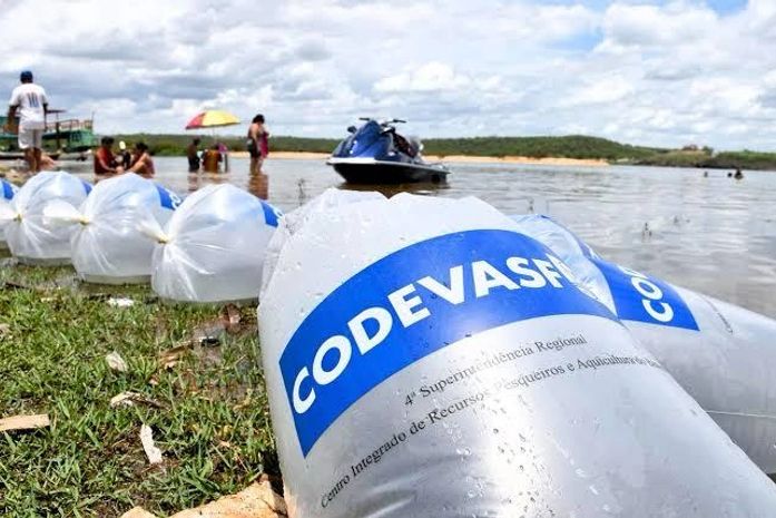 Prefeitura e Codevasf realizam a entrega de 22 mil alevinos aos produtores rurais de Arapiraca