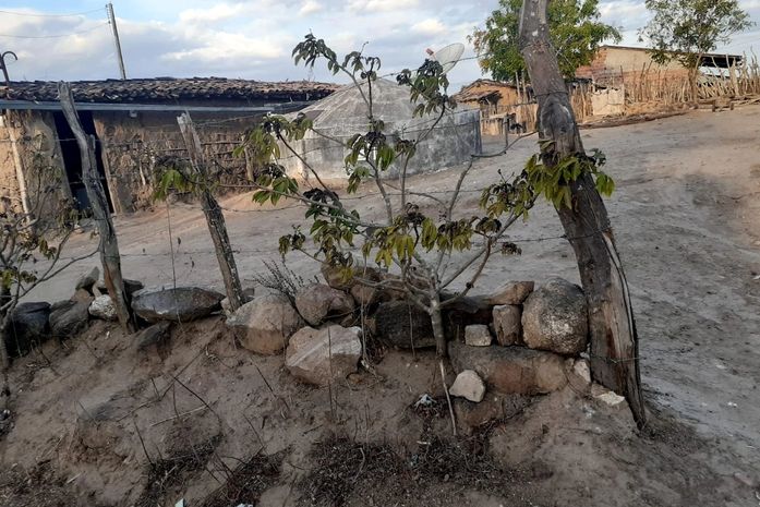 Tem fartura de miséria e fome nas mesas dos quilombos alagoanos, o ano todo, ou o dia da Consciência Negra, já acabou?