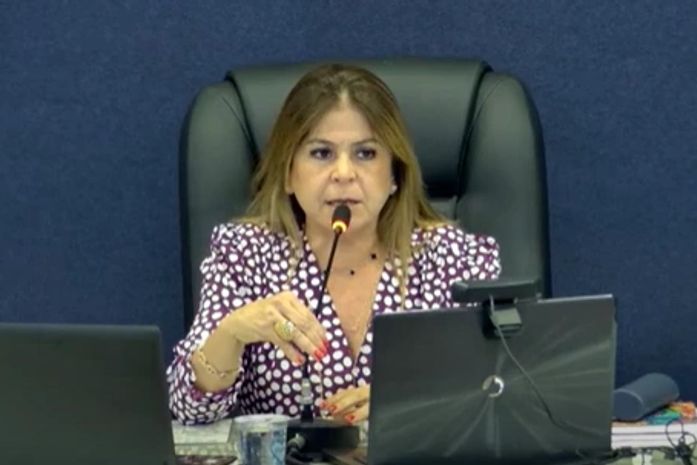 Vereadora Silvânia Barbosa presidiu a sessão