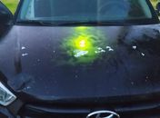 PC recupera no Sertão de Alagoas carro furtado em São Paulo