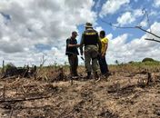 FPI flagra  a supressão de 17 hectares de Mata Atlântica, transformados em plantação e pasto