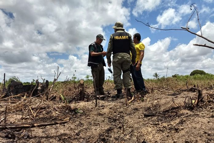 FPI flagra  a supressão de 17 hectares de Mata Atlântica, transformados em plantação e pasto