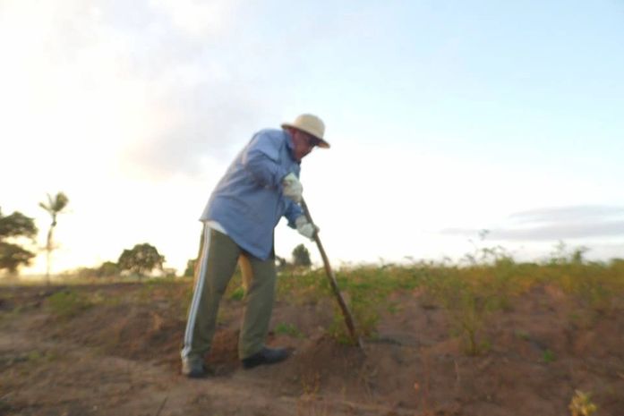O velho agricultor na enxada limpando o chão seco
