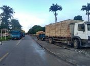 Fiscalização apreende caminhões e cerca de 9 mil frangos sem nota fiscal e inspeção sanitária, em AL