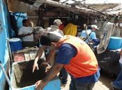 Operação de combate ao Aedes aegypti vai à parte baixa de Maceió