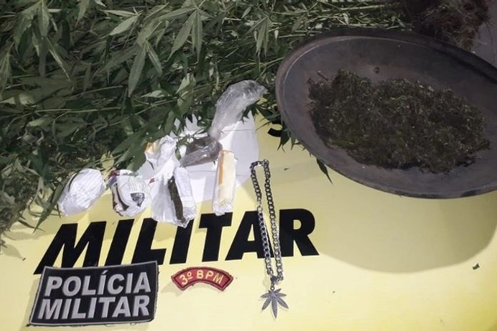 Polícia Militar localiza plantação de maconha após denúncia em Junqueiro