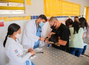 Meu Amigo Pet ultrapassa marca de 800 castrações e se torna o maior programa de saúde animal de Alagoas  