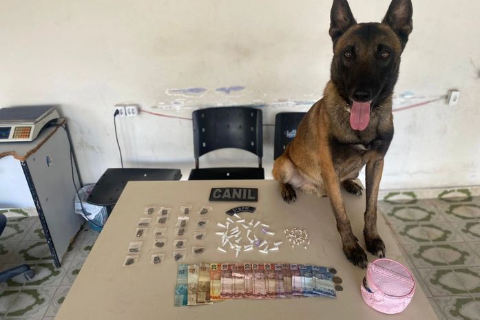 Homem é preso com drogas após tentativa de fuga em Arapiraca; cão farejador localiza entorpecentes em terreno baldio