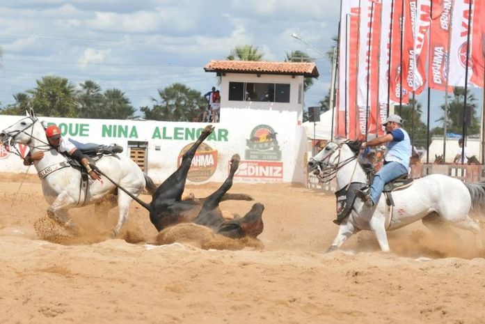 Estado de Alagoas quer incentivar vaquejada
