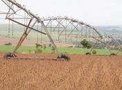 Brasil assina acordo de cooperação agrícola com a Alemanha