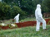 Média móvel de mortes por Covid-19 no Brasil sobe para 1.053