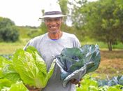 Arapiraca irá investir cerca de R$ 3 mi em alimentos da agricultura familiar