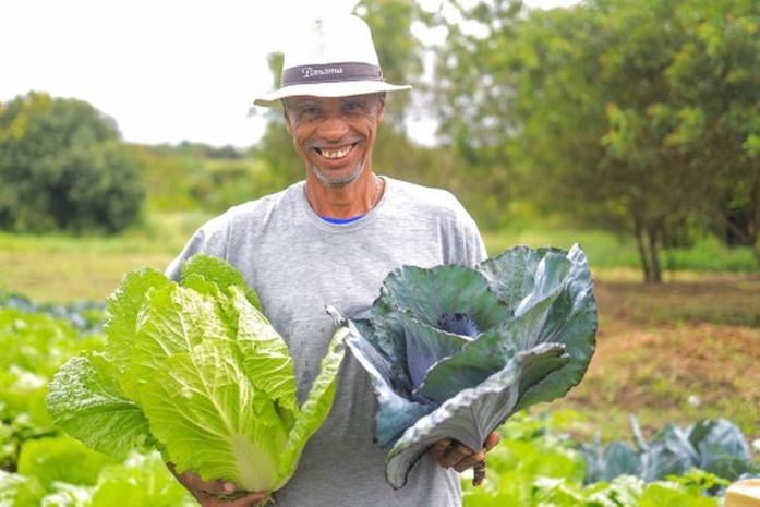 Arapiraca irá investir cerca de R$ 3 mi em alimentos da agricultura familiar