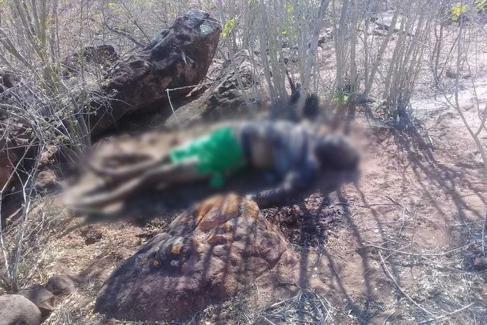 Corpo foi encontrado morto na zona rural de Olho D’Água do Casado