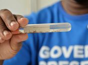 Casos de dengue em Alagoas caem mais de 50% em relação ao ano passado