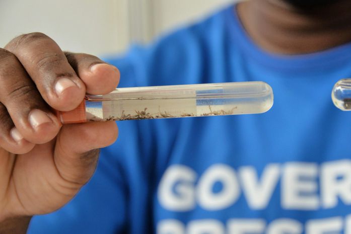 Casos de dengue em Alagoas caem mais de 50% em relação ao ano passado