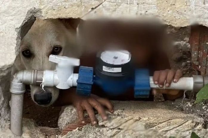 Mãe é detida por deixar filho de dois anos sozinho em casa em União dos Palmares; mulher foi liberada após pagar fiança