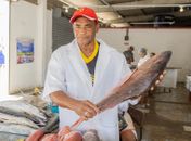 Valdomiro Ferreira é pescador há 43 anos e comercializa no Centro Pesqueiro do Jaraguá.