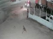 PC instaura inquérito para investigar morte de suspeito após confronto com PM; veja vídeo