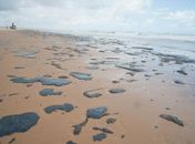 Venezuela nega responsabilidade por petróleo na costa brasileira