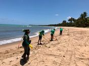 Equipes retiram óleo do litoral de Alagoas