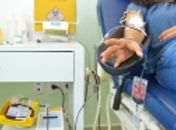 Com apenas 44% do estoque de sangue, Hemoal faz coleta na Pajuçara nesta sexta (6)