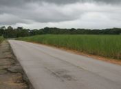 Ilustração