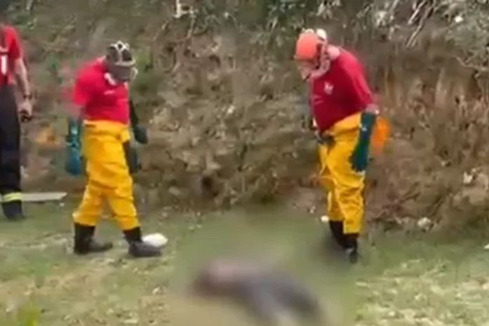 Corpo é encontrado no Riacho Reginaldo, em Maceió