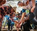 Arapiraca fortalece compromisso ambiental com mais de 57 mil árvores plantadas