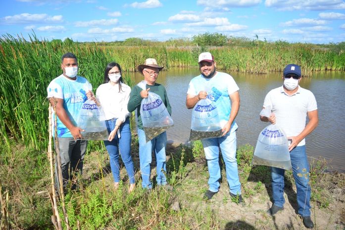 10.000 alevinos são distribuídos para agricultores de Delmiro Gouveia