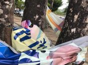 Vandalismo nas eleições da UFAL: material de Tonholo é destruído em Maceió