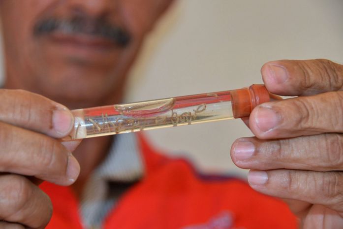 AL registra redução de casos prováveis de Dengue em janeiro de 2024 