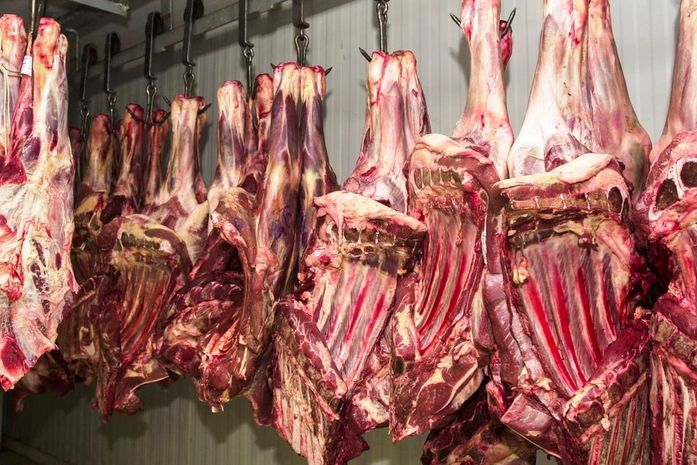 Auditores do Ministério da Agricultura são alvos de operação da PF