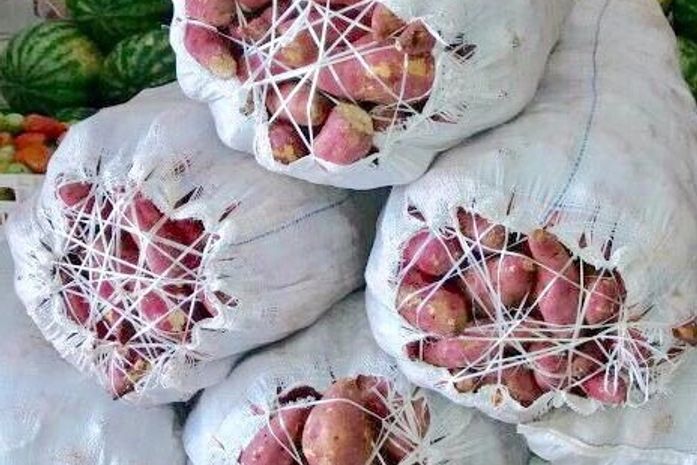 Programa Nacional de Alimentação Escolar-PNAE