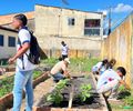 Projeto Horta nas Escolas