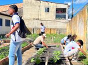 Projeto Horta nas Escolas é implantado em Matriz de Camaragibe