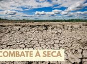 MPF discute ações preventivas para enfrentar efeitos da seca no semiárido alagoano
