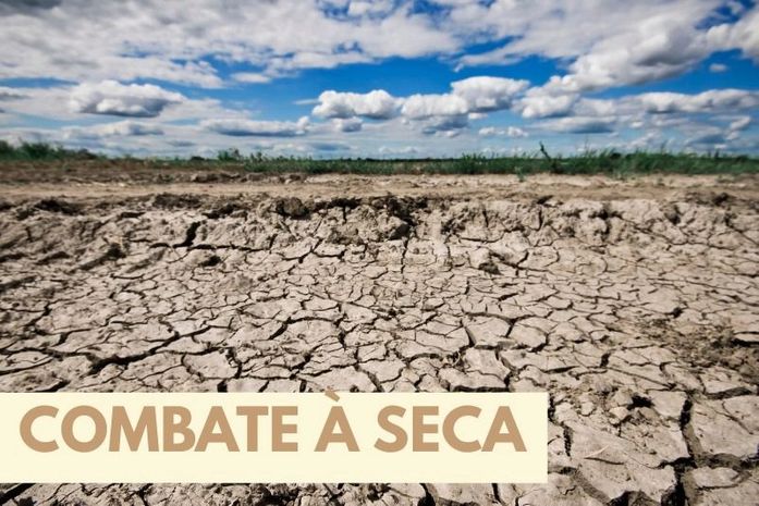 MPF discute ações preventivas para enfrentar efeitos da seca no semiárido alagoano

