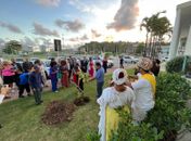 
Sob o entrelaçar das raízes  do Baobá, a sufragista, advogada, Almerinda Farias Gama  foi trazida de volta à Maceió. A memória do povo preto não será esquecida
