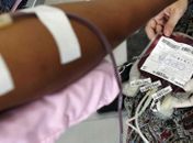 Anvisa contraria STF e mantém veto a doação de sangue por homens gays