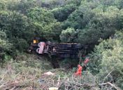 Caminhão que transportava bois capota e cai em ribanceira na Serra das Pias