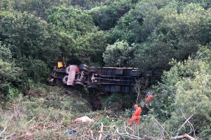 Caminhão que transportava bois capota e cai em ribanceira na Serra das Pias