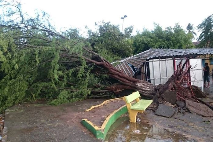 Temporal em Capela derruba árvores, destelha residências e deixa mulher ferida