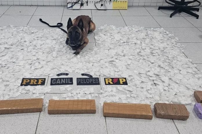 Operação intercepta van vinda de SP e apreende R$ 500 mil em drogas no Sertão de AL