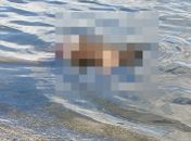 Polícia investiga morte de jovem encontrado com marcas tiros e corda no pescoço na Lagoa Mundaú

