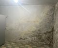 Riscos físicos e biológicos: vistoria recomenda interdição no Museu de História Natural da Ufal; Universidade afirma que “não tem orçamento” para reforma