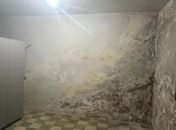 Riscos físicos e biológicos: vistoria recomenda interdição no Museu de História Natural da Ufal; Universidade afirma que “não tem orçamento” para reforma